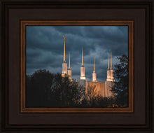 Load image into Gallery viewer, A Beacon in the Night Washington DC