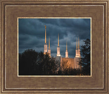 Load image into Gallery viewer, A Beacon in the Night Washington DC
