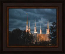Load image into Gallery viewer, A Beacon in the Night Washington DC