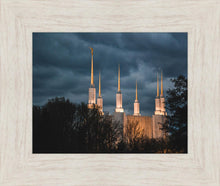 Load image into Gallery viewer, A Beacon in the Night Washington DC