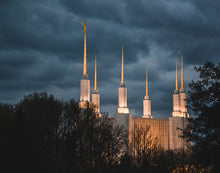 Load image into Gallery viewer, A Beacon in the Night Washington DC