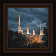Load image into Gallery viewer, A Beacon in the Night Washington DC