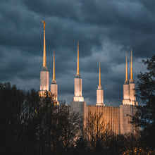 Load image into Gallery viewer, A Beacon in the Night Washington DC