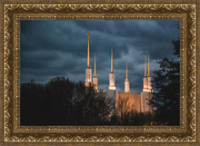 Load image into Gallery viewer, A Beacon in the Night Washington DC