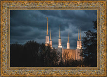 Load image into Gallery viewer, A Beacon in the Night Washington DC