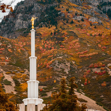 Load image into Gallery viewer, Love Unchanging Provo Temple