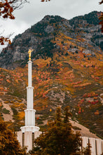 Load image into Gallery viewer, Love Unchanging Provo Temple