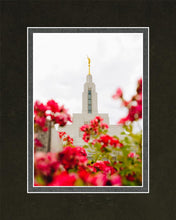 Load image into Gallery viewer, Made Whole Again Draper Temple