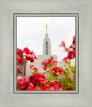 Load image into Gallery viewer, Made Whole Again Draper Temple