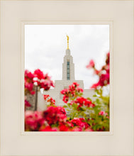 Load image into Gallery viewer, Made Whole Again Draper Temple