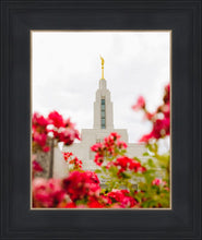 Load image into Gallery viewer, Made Whole Again Draper Temple