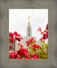 Load image into Gallery viewer, Made Whole Again Draper Temple