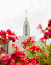 Load image into Gallery viewer, Made Whole Again Draper Temple