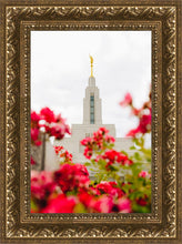 Load image into Gallery viewer, Made Whole Again Draper Temple