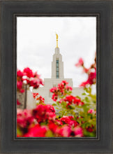 Load image into Gallery viewer, Made Whole Again Draper Temple