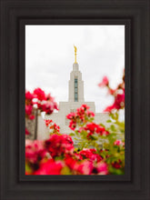 Load image into Gallery viewer, Made Whole Again Draper Temple