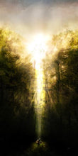 Load image into Gallery viewer, A Pillar of Light