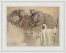 Load image into Gallery viewer, Noah