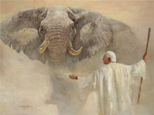 Load image into Gallery viewer, Noah