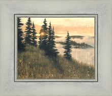 Load image into Gallery viewer, A Moment of Grace