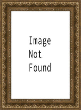 Load image into Gallery viewer, Solitude