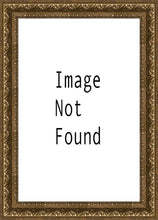 Load image into Gallery viewer, Solitude