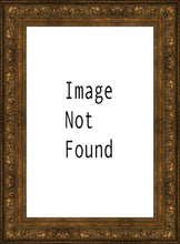 Load image into Gallery viewer, Solitude