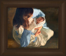 Load image into Gallery viewer, Delivered