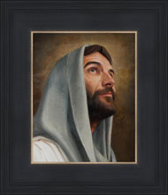 Load image into Gallery viewer, Looking Up