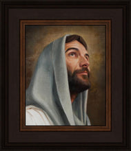 Load image into Gallery viewer, Looking Up
