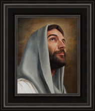 Load image into Gallery viewer, Looking Up