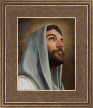 Load image into Gallery viewer, Looking Up