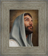 Load image into Gallery viewer, Looking Up