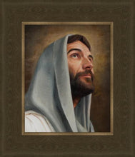 Load image into Gallery viewer, Looking Up
