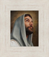 Load image into Gallery viewer, Looking Up