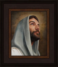 Load image into Gallery viewer, Looking Up