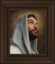 Load image into Gallery viewer, Looking Up