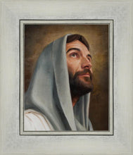 Load image into Gallery viewer, Looking Up