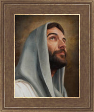 Load image into Gallery viewer, Looking Up