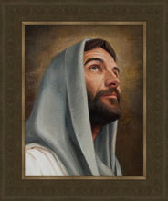 Load image into Gallery viewer, Looking Up