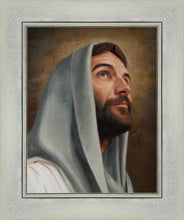 Load image into Gallery viewer, Looking Up