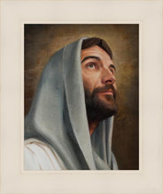 Load image into Gallery viewer, Looking Up