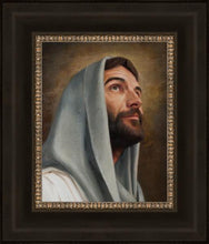Load image into Gallery viewer, Looking Up