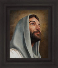Load image into Gallery viewer, Looking Up