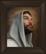 Load image into Gallery viewer, Looking Up
