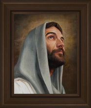 Load image into Gallery viewer, Looking Up