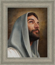 Load image into Gallery viewer, Looking Up