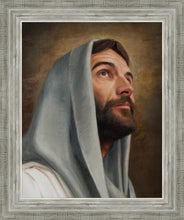 Load image into Gallery viewer, Looking Up