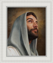 Load image into Gallery viewer, Looking Up