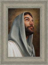 Load image into Gallery viewer, Looking Up